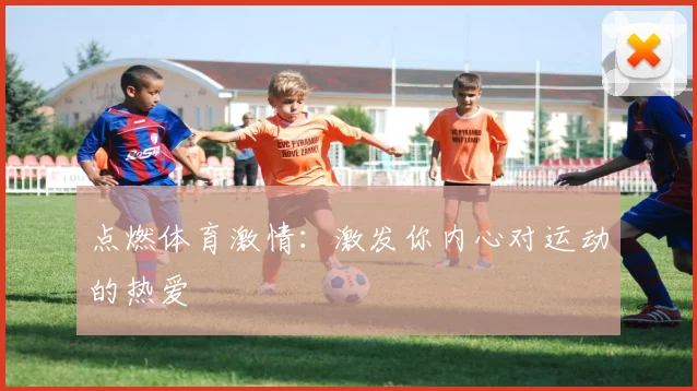 点燃体育激情：激发你内心对运动的热爱
